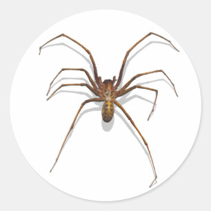 Spider Runt Klistermärke