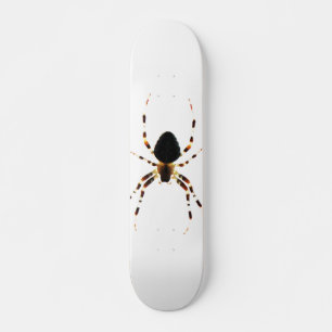 Spider sdcna mini skateboard bräda 18,5 cm