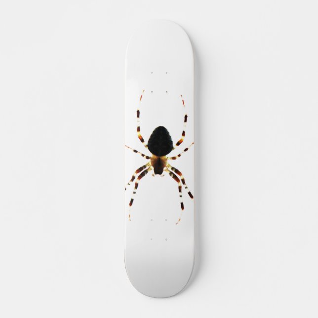 Spider sdm mini skateboard bräda 18,5 cm (Framsida)