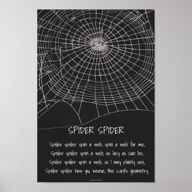 Spider Spider Poster (Framsidan)