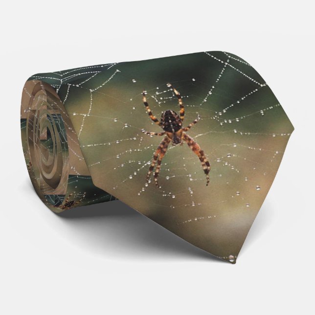 SPIDER TID SLIPS (Rullad)