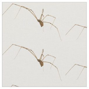 Spider Tyg
