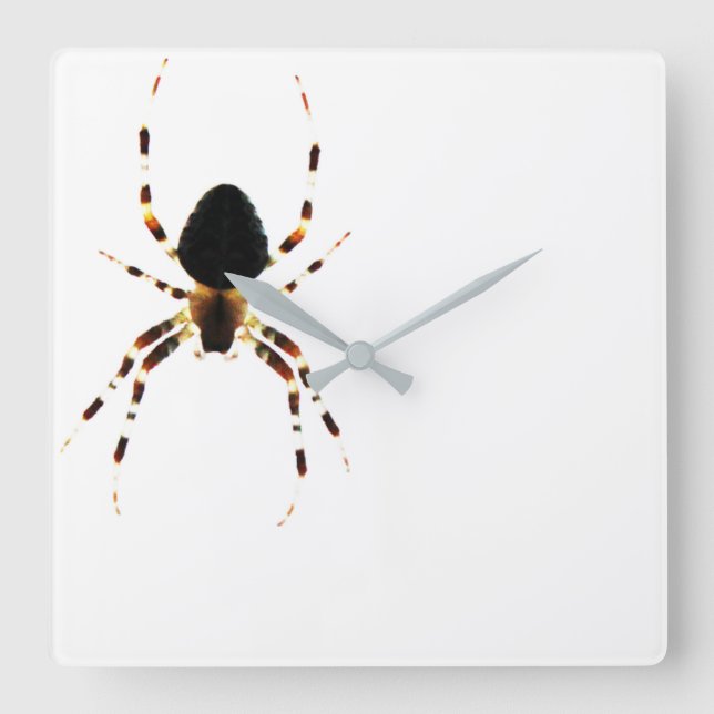 Spider - väggklocka (Framsida)