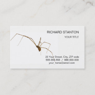 Spider Visitkort