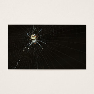 Spider Visitkort