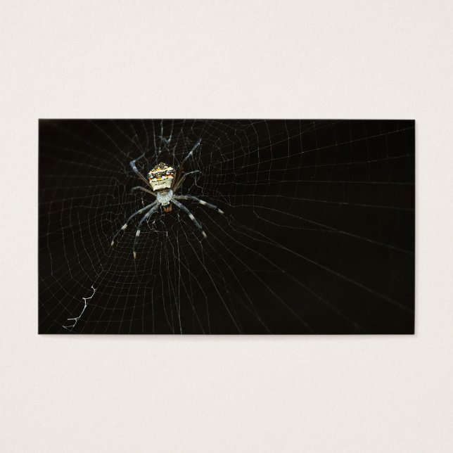 Spider Visitkort (Framsidan)