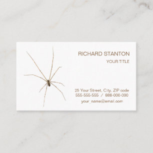 Spider Visitkort