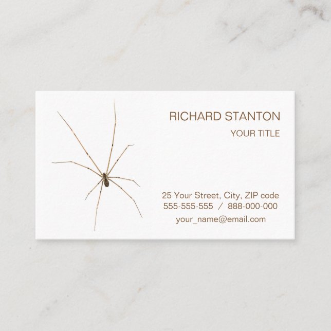 Spider Visitkort (Framsida)