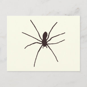 Spider Vykort