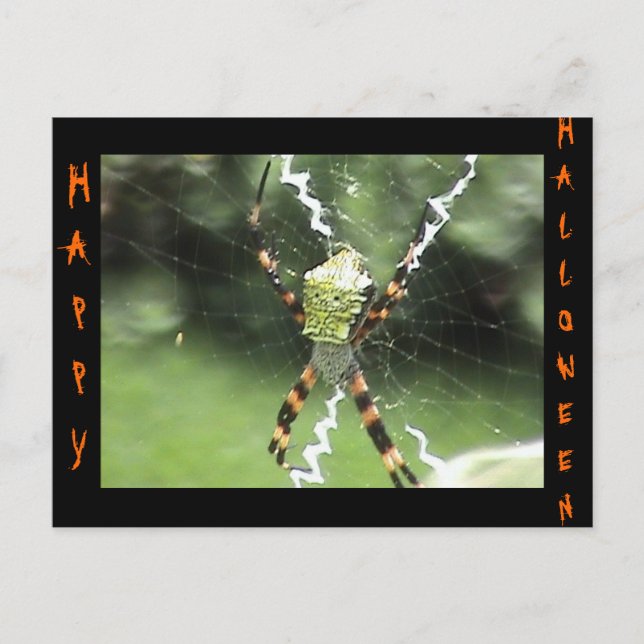Spider-vykort Vykort (Framsida)