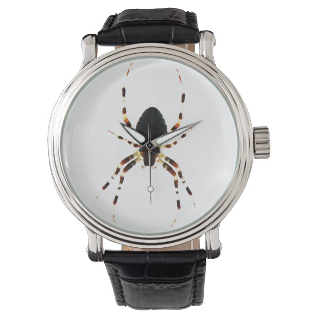 Spider wacna armbandsur (Framsida)