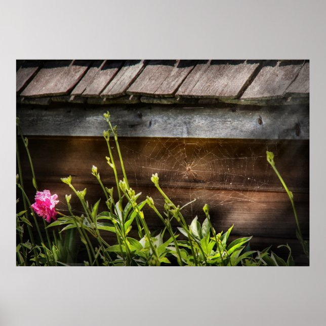 Spider - Webben Charlottes Poster (Framsidan)