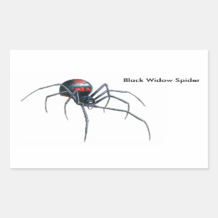 Spiderbild för rektangulär stift-glansig rektangulärt klistermärke