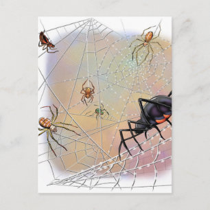 Spiders-vykort Vykort