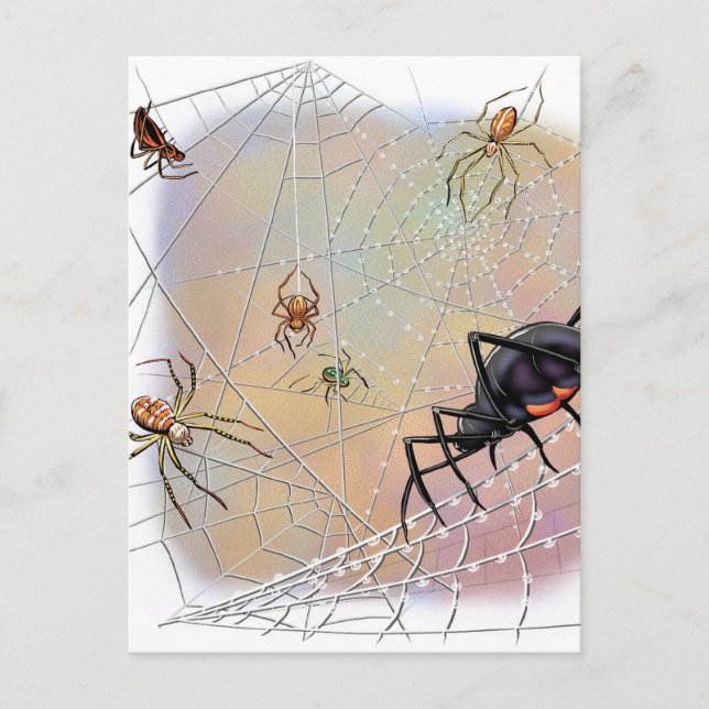 Spiders-vykort Vykort (Framsida)