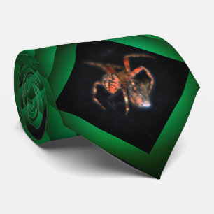 Spiders-webben Slips