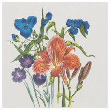 Spiderwort och Daylily
