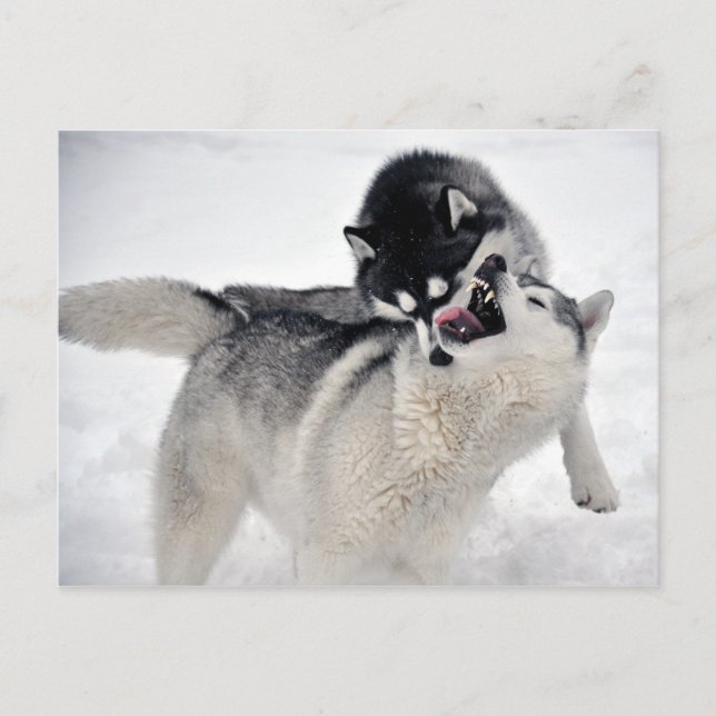 spielodernst vykort (Framsida)