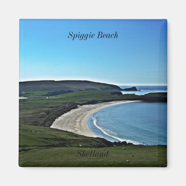 Spiggie Beach, Shetland Magnet (Framsidan)