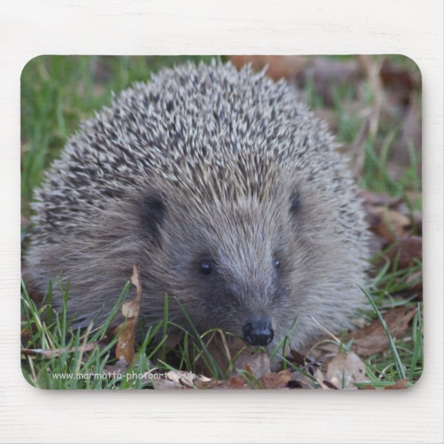 Spike Mousemat Musmatta (Framsidan)