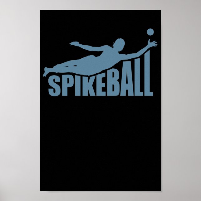 Spikeball Ballsport Freizeit Roundball Poster (Framsidan)