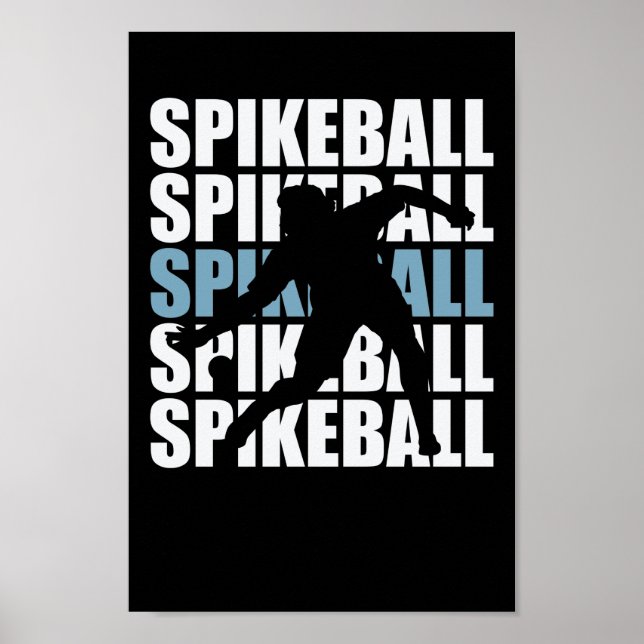 Spikeball Roundball Sport Hobby Freizeit Poster (Framsidan)