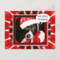 Spiked Eggnog-Hund