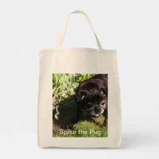 Spiket hänger lös tygkasse