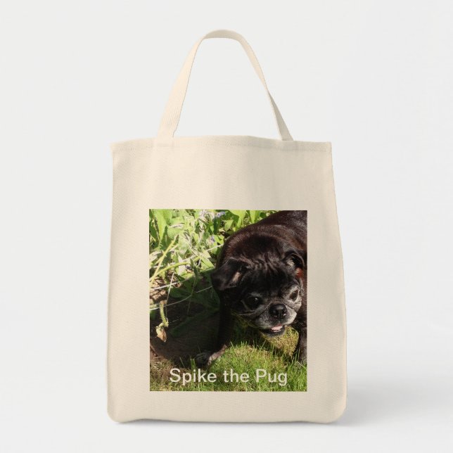 Spiket hänger lös tygkasse (Framsidan)