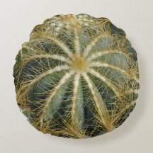 Spikey Natural Grönt Cactus