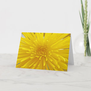 Spiky Gult Dahlia stäng upp fotomall Kort