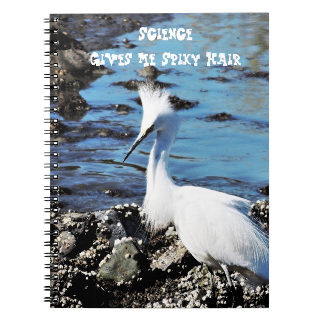 Spiky Hair Bird Photo Notebook Anteckningsbok (Framsidan)