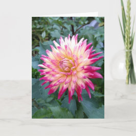 Spiky rosa dahlia-anteckningskort kort