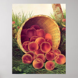 Spillade persikor poster