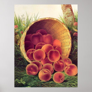 Spillade persikor poster