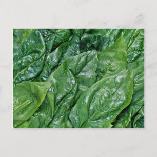 Spinach lövs vykort