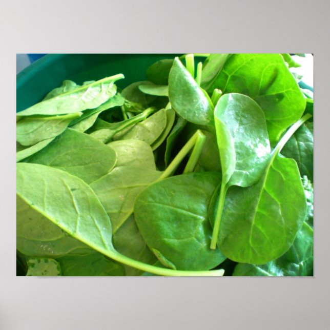 Spinach Poster (Framsidan)