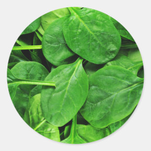Spinach Runt Klistermärke