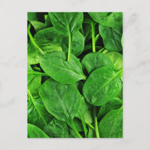 Spinach Vykort