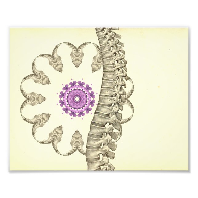 Spinal anatomi Artwork Chiropraktik Fototryck (Framsidan)