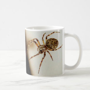 Spindel 01 kaffemugg