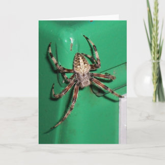 Spindel 7704 - Lodrät Kort