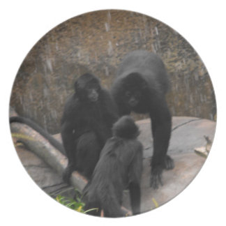 Spindel-Apa middagWare Tallrik