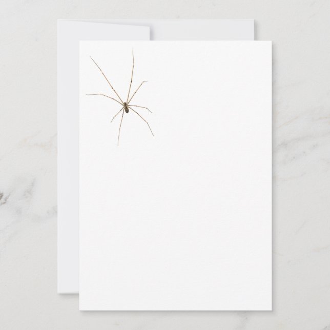 Spindel Inbjudningar (Framsida)