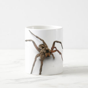 spindel kaffemugg