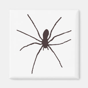 Spindel Magnet