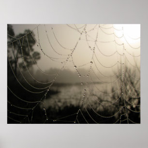 Spindel morgon poster