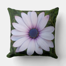 spindel på en rosa blomma - Dekorativ kudde