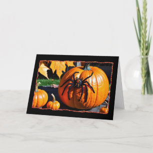 Spindel på pumpa Halloween-kort Helgkort