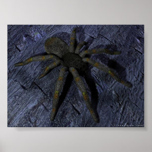 Spindel Poster